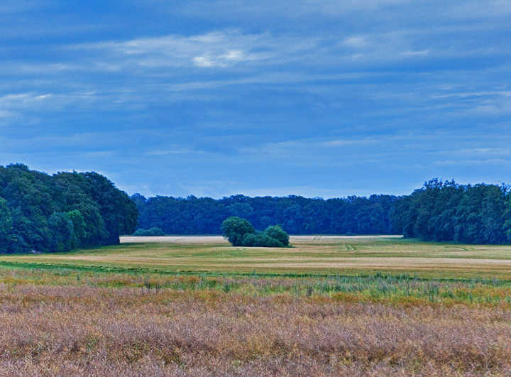 Mitt i åkern - Middle of the Field