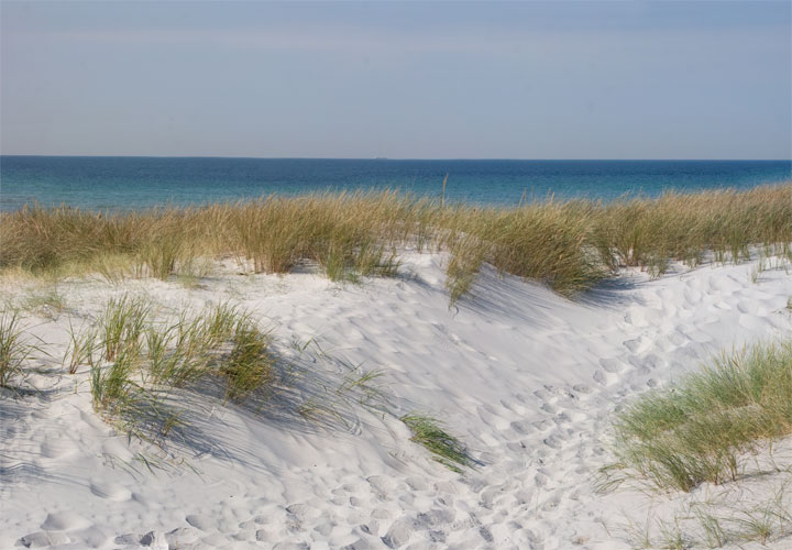 Skanör strand - beach