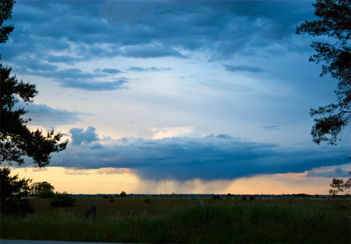 evening-weather